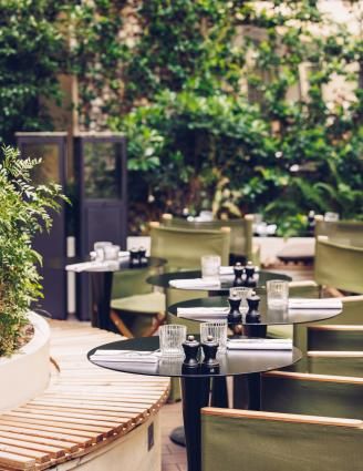 Une Oasis Cachée en Plein Cœur de Paris : Le Jardin Secret de l’Hôtel Dame des Arts