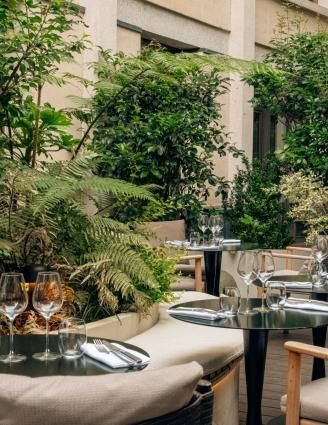 Escape the Urban Rush: Discover Our Secret Garden in the Heart of the Latin Quarter