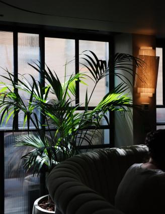 Derrière le Design : Comment l’Hôtel Dame des Arts Réinvente l’Esprit Art Déco à Paris