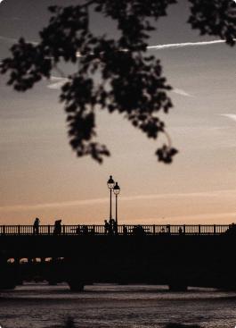 Hotel Dame des Arts - City Guide - Île Saint-Louis